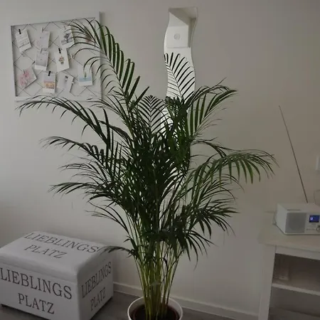 Lieblingsplatz Am Steinhuder Appartement